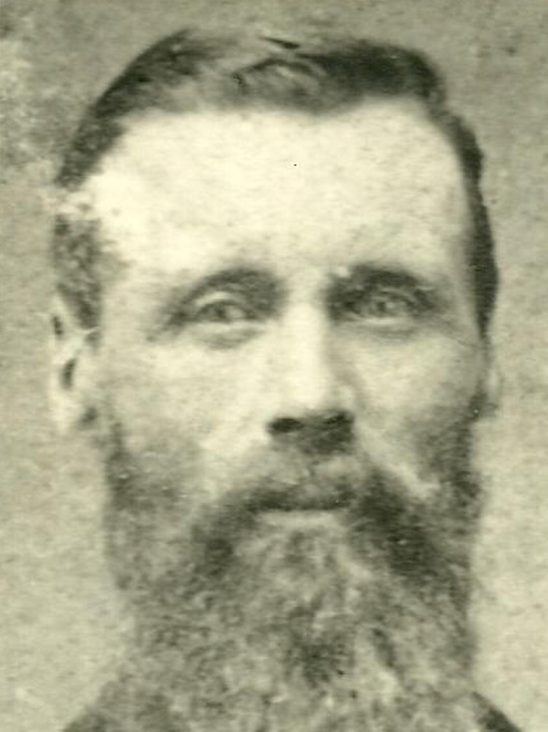 Henry Franklin Wilcox (1830 - 1915) Profile